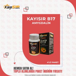 B17 Amygdalin Vitamin Kapsülü 4'lü Paket